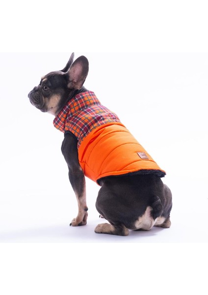 Turuncu Elgin Paws Ekose Desen Yelek Köpek Yeleği Köpek Kıyafeti Köpek Yağmurluk