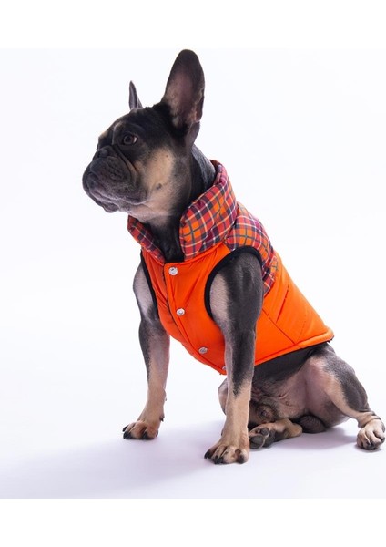 Turuncu Elgin Paws Ekose Desen Yelek Köpek Yeleği Köpek Kıyafeti Köpek Yağmurluk modelleri