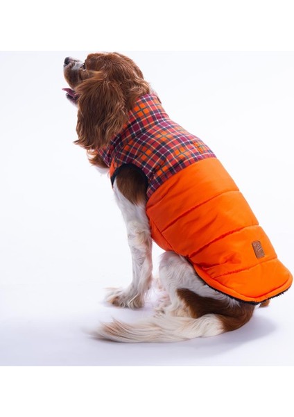 Turuncu Elgin Paws Ekose Desen Yelek Köpek Yeleği Köpek Kıyafeti Köpek Yağmurluk fırsatları