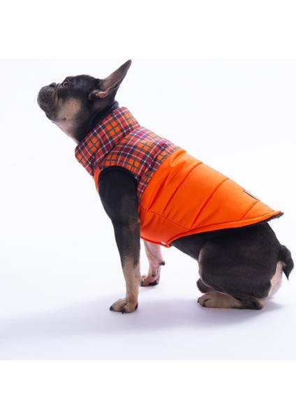 Turuncu Elgin Paws Ekose Desen Yelek Köpek Yeleği Köpek Kıyafeti Köpek Yağmurluk indirimleri