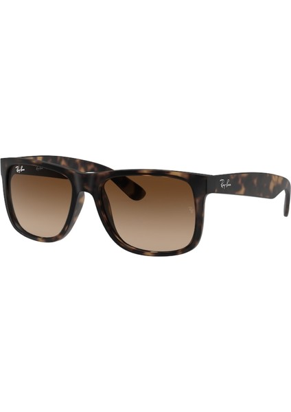 Rayban RYS/4165/710/13-55 Unisex Güneş Gözlüğü