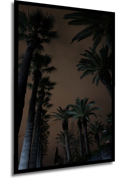 Çerçeve Görünümlü Dekoratif Ahşap Kare Palmiye Ağaçları Gecesi Tablosu Ev/ofis/işyeri Tablo modelleri