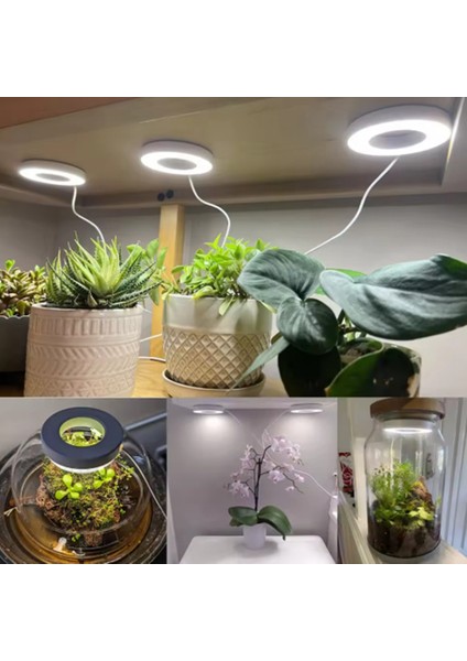 Tam Spektrum LED Büyüme Işığı Otomatik Açma/kapama Zamanlayıcısı 2 Adet (Yurt Dışından) indirimleri