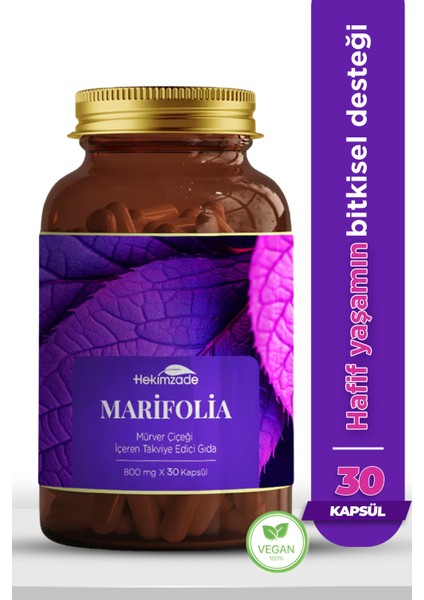 Marifolia Doğal Metabolizma Desteği Sağlayan Mürver Çiçeği İçeren Takviye Edici Gıda 30 Kapsül 800mg