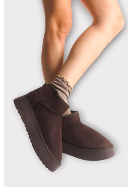 Ug-W Australia Kahve Süet Kar Botu (Mini Xl) Kadın Bot Kışlık Bilekte Kışlık Bot & Bootie fiyatları