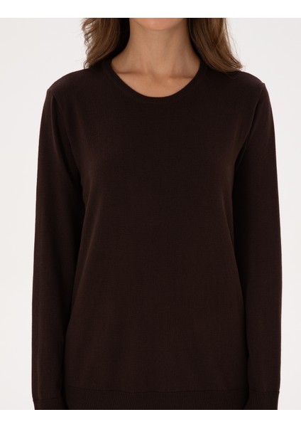 Kadın Kahverengi Comfort Fit Bisiklet Yaka Basic Kazak 50316393-VR029