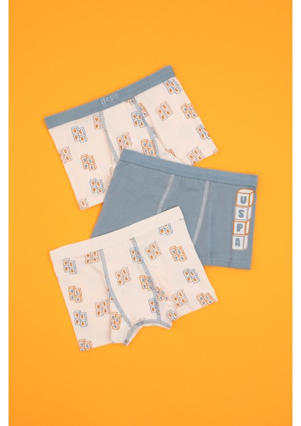 Erkek Çocuk Taş Iç Giyim Alt 50319390-VR049