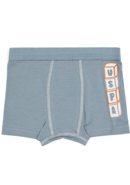 Erkek Çocuk Taş Iç Giyim Alt 50319390-VR049 fırsatları