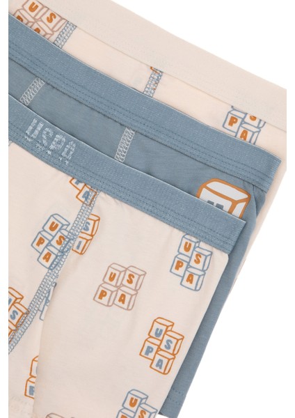 Erkek Çocuk Taş Iç Giyim Alt 50319390-VR049