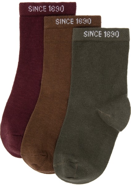 Erkek Çocuk Plum Çorap (Soket) 50318041-VR177