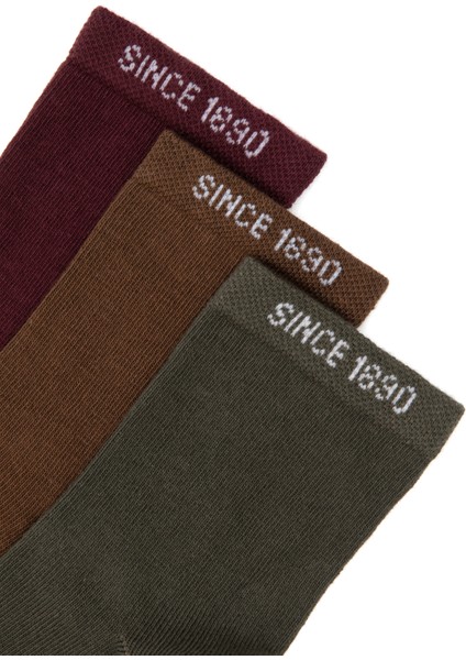 Erkek Çocuk Plum Çorap (Soket) 50318041-VR177 fiyatları