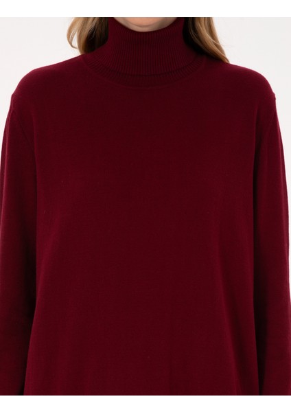 Kadın Vişne Comfort Fit Tam Balıkçı Yaka Basic Kazak 50316385-VR223