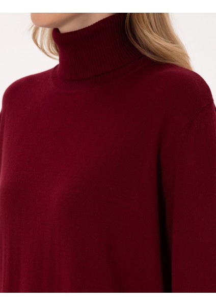 Kadın Vişne Comfort Fit Tam Balıkçı Yaka Basic Kazak 50316385-VR223