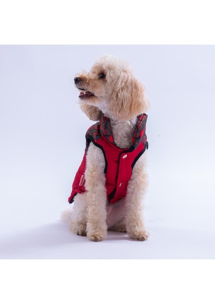 Kırmızı Elgin Paws Ekose Desen Yelek Köpek Yeleği Köpek Kıyafeti Köpek Yağmurluk modelleri