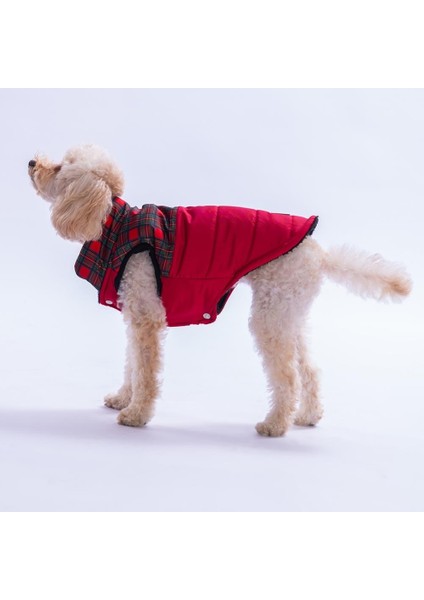 Kırmızı Elgin Paws Ekose Desen Yelek Köpek Yeleği Köpek Kıyafeti Köpek Yağmurluk fırsatları