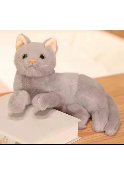 Ithal Peluş Kedi Oturan Kedi Gerçek Tekir Kedi Gürünümlü 30 cm Peluş Oyuncak