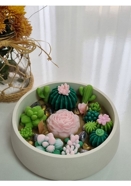 Kase Renkli Kase Mum