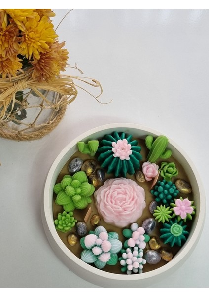 Kase Renkli Kase Mum fiyatları