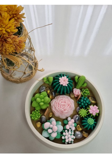 Kase Renkli Kase Mum indirimleri