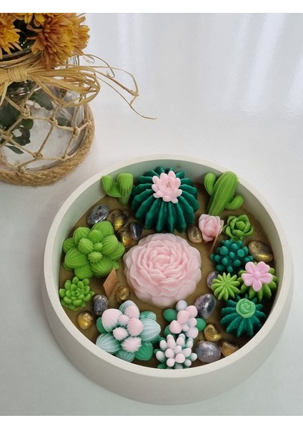 Kase Renkli Kase Mum