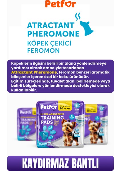 Köpek Eğitim Pedi 60X90 120 Adet Kaydırmaz Bantlı modelleri