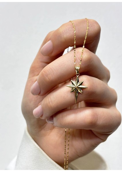 14 Ayar Altın Aynalı Zincir Kutup Yıldızı Kolye fiyatları