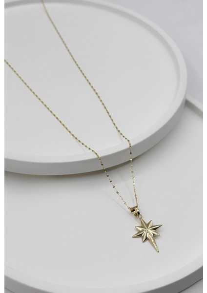 14 Ayar Altın Aynalı Zincir Kutup Yıldızı Kolye modelleri