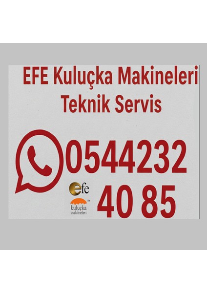 Kaz Kuluçka Makinesi 176 fırsatları