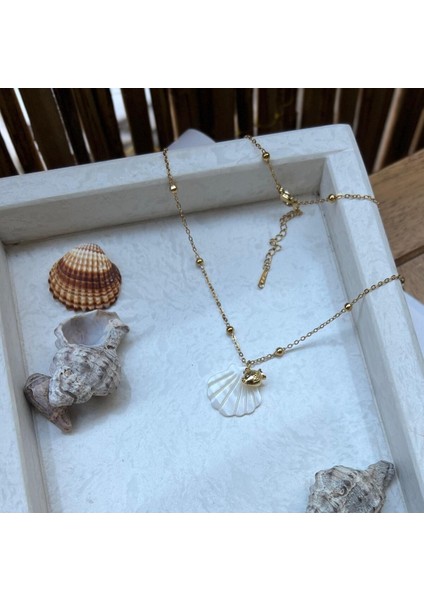 Çelik Deniz Kabuğu Figürlü Kolye fiyatları