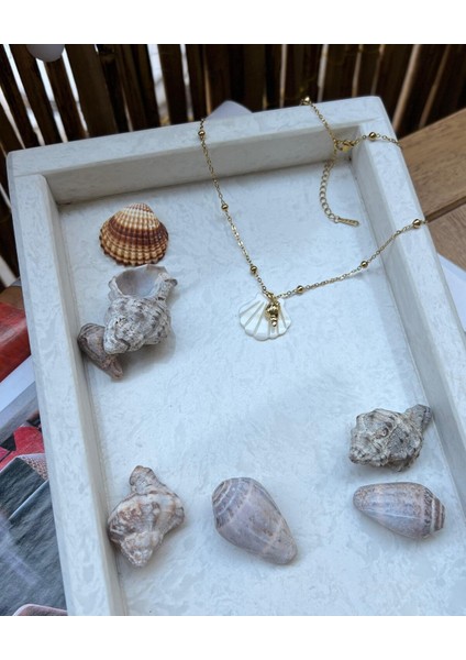 Çelik Deniz Kabuğu Figürlü Kolye modelleri