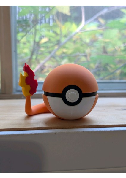 Pokemon Charmander Pokeball Poke Topu