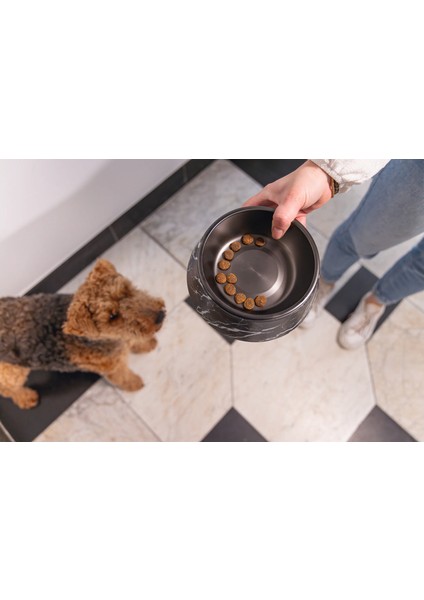 Drnds Beeztees Dbl Köpek Mama Su Kabı, Mat Siyah Paslanmaz Çelik, Siyah Mermer Görünümlü, 17,5cm, 350ML fiyatları