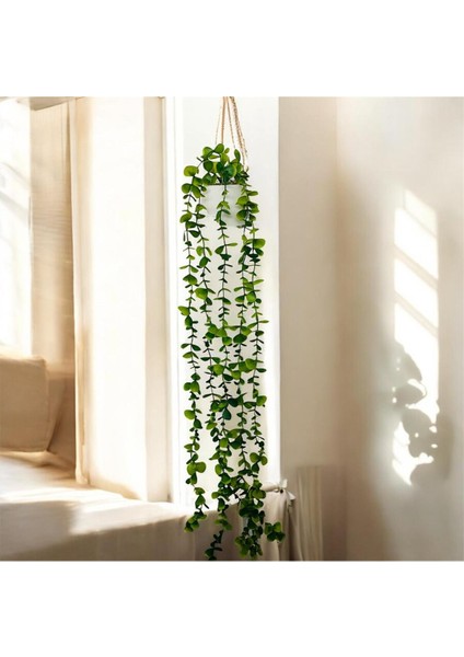 2 Adet, El Yapımı Mini Beton Saksıda 80 cm Yapay Sarkan Şimşir Anneler Günü Sevgililer Hediyesi fırsatları