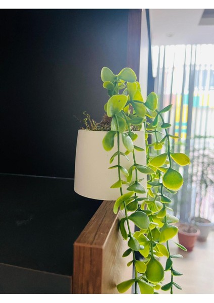 2 Adet, El Yapımı Mini Beton Saksıda 80 cm Yapay Sarkan Şimşir Anneler Günü Sevgililer Hediyesi indirimleri