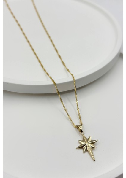 14 Ayar Altın Kutup Singapur Zincir Kolye