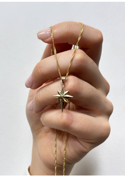 14 Ayar Altın Kutup Singapur Zincir Kolye fiyatları