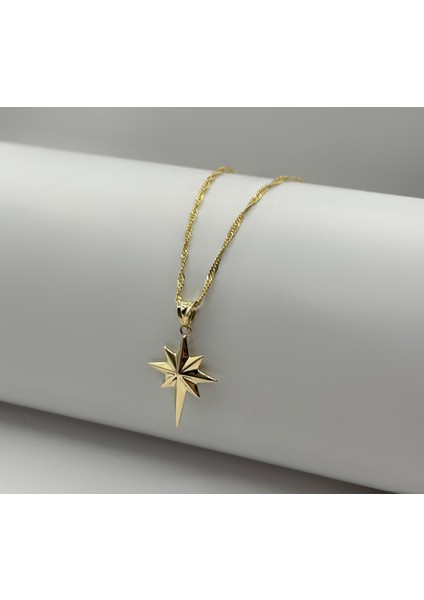 14 Ayar Altın Kutup Singapur Zincir Kolye modelleri