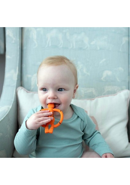 Silikon Dis Kasiyici / Teddy Tiger modelleri