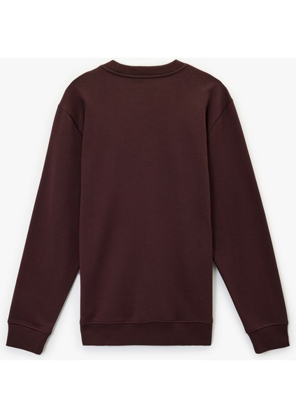 Uzun Kollu Bisiklet Yaka Pamuklu Baskılı Sweatshirt fiyatları