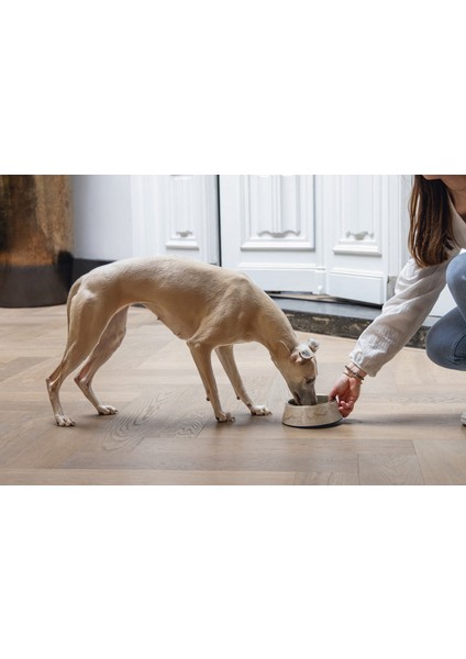 Drnds Beeztees Dbl Köpek Mama Su Kabı, Mat Altın Rengi Paslanmaz Çelik, Bej Mermer Görünümlü, 17,5cm, 350M modelleri