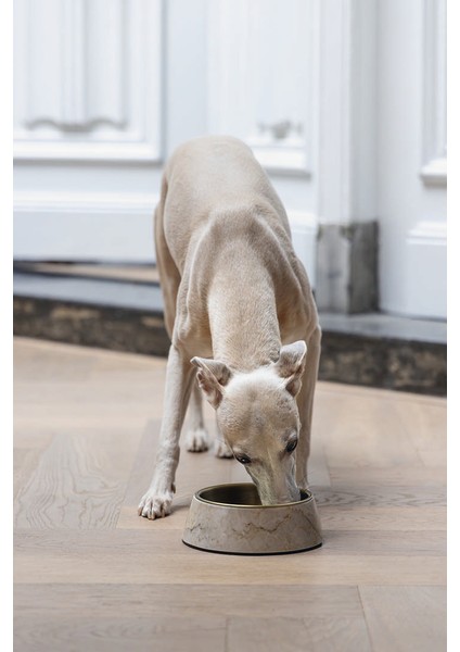 Drnds Beeztees Dbl Köpek Mama Su Kabı, Mat Altın Rengi Paslanmaz Çelik, Bej Mermer Görünümlü, 17,5cm, 350M fırsatları