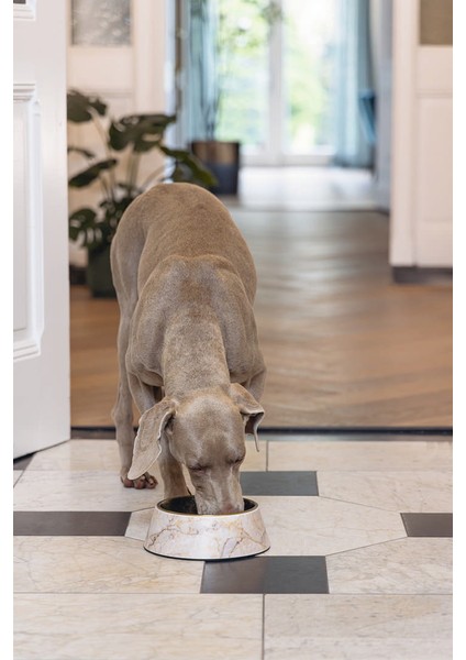 Drnds Beeztees Dbl Köpek Mama Su Kabı, Mat Altın Rengi Paslanmaz Çelik, Bej Mermer Görünümlü, 22CM, 700ML modelleri