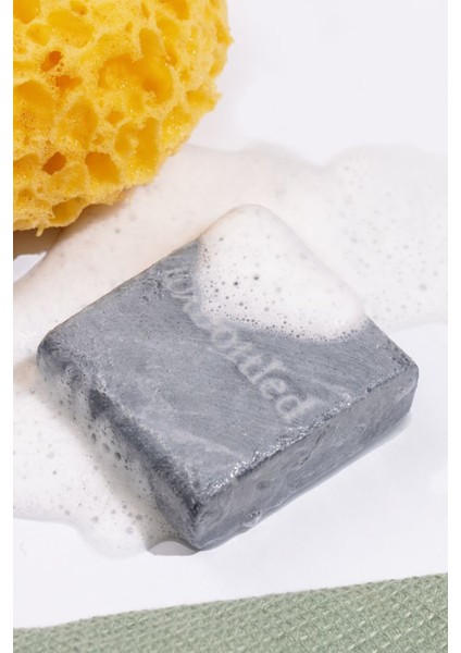 Fester Reiniger & Detox-Maske Kömürlü ve Çay Ağacı Özlü modelleri