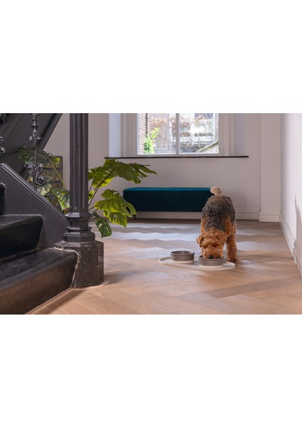 Drnds Beeztees Dbl Mama Su Kabı Servisi, Silikon, Kaymaz, Bej, 55X30X1,7CM fırsatları