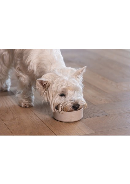 Drnds Beeztees Dbl Köpek Mama Su Kabı, Bambu, Bej, 12CM, 300ML modelleri