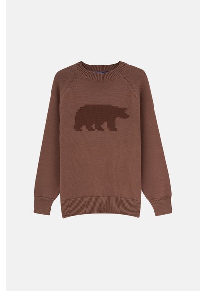 Bozayı Triko Crew Neck Sweater - Kahverengi
