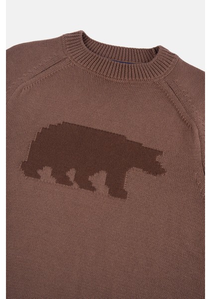 Bozayı Triko Crew Neck Sweater - Kahverengi fiyatları