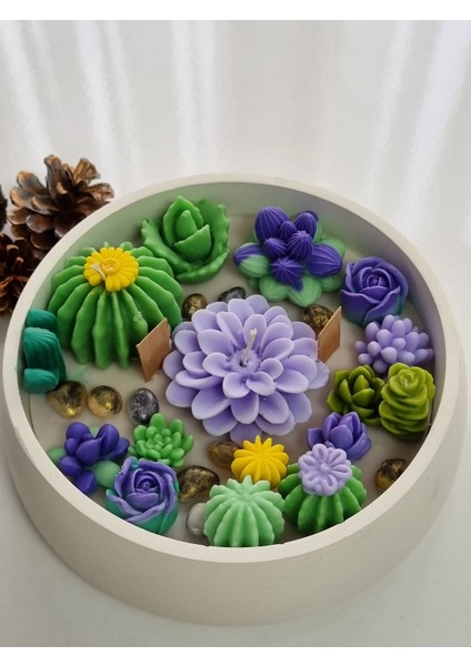 Kase Kaktüs Mum fiyatları