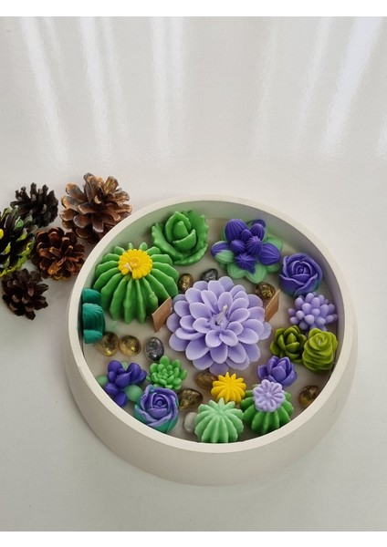 Kase Kaktüs Mum modelleri