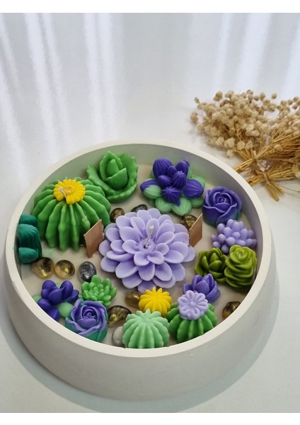 Kase Kaktüs Mum fırsatları